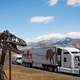 Illustration for article titled Rare T. Rex Takes Road Trip to Washington D.C.